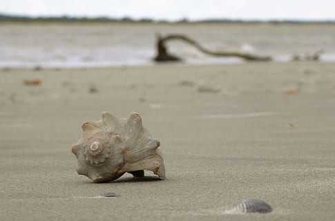 Detail Gambar Latar Tema Pantai Nomer 43