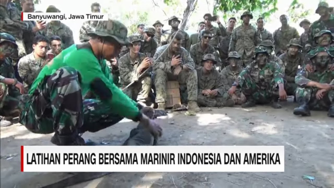 Detail Gambar Latihan Militer Indonesia Nomer 4