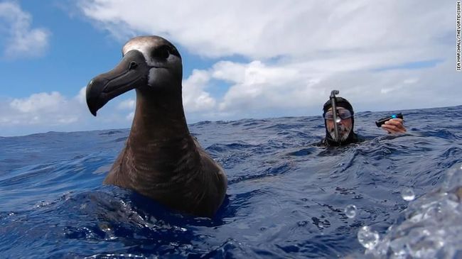 Detail Gambar Laut Dan Samudra Namanya Nomer 21