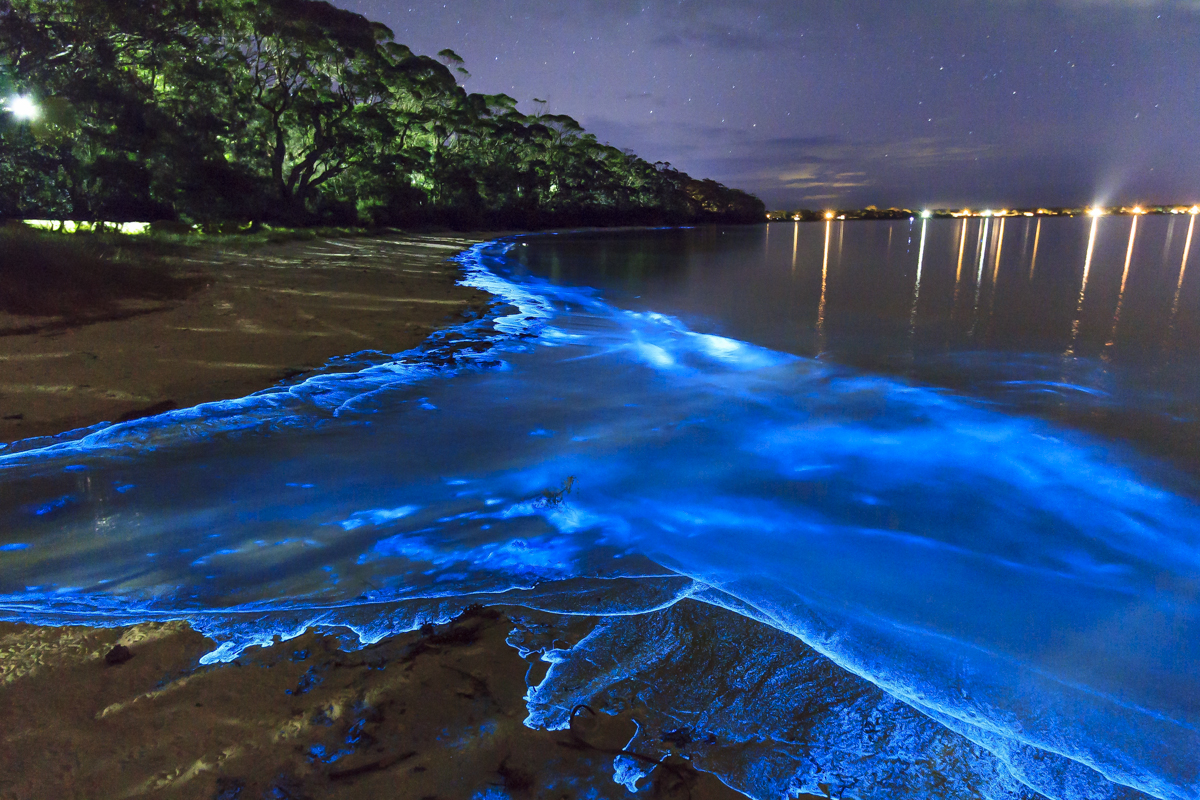 Detail Gambar Laut Gambar Pemandangan Laut Terindah Di Dunia Nomer 21