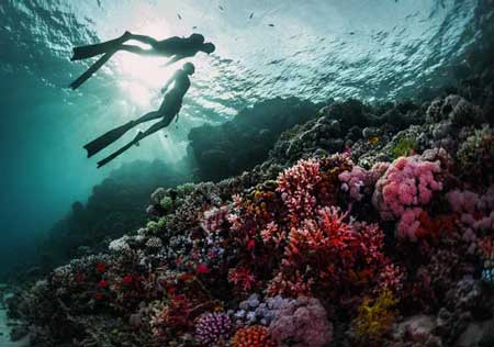 Detail Gambar Laut Gambar Pemandangan Laut Terindah Di Dunia Nomer 35