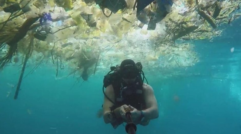 Detail Gambar Laut Tercemar Nomer 22