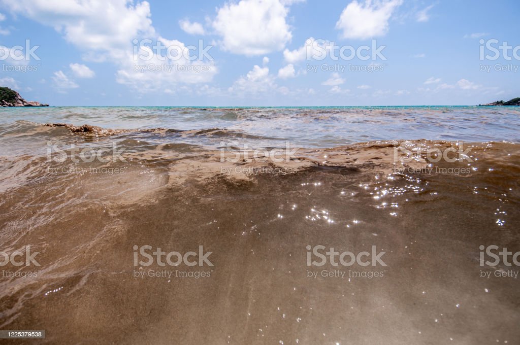 Detail Gambar Laut Tercemar Nomer 49