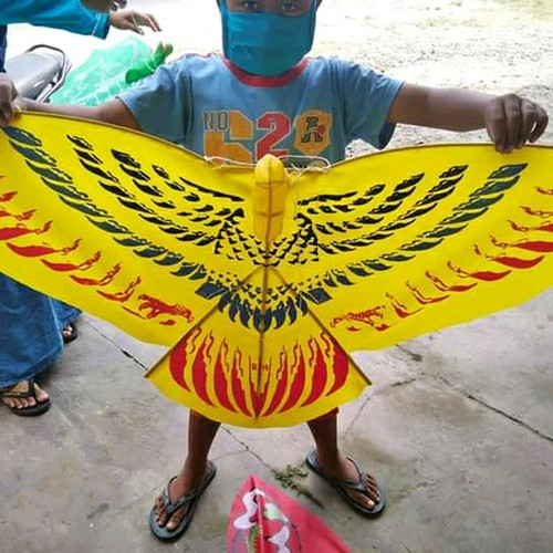 Detail Gambar Layangan Burung Garuda Nomer 17