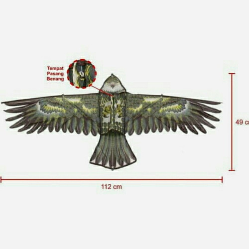 Detail Gambar Layangan Burung Garuda Nomer 37