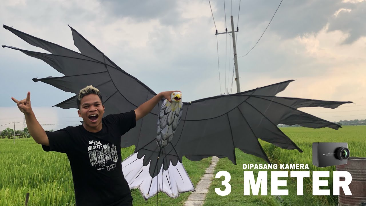 Detail Gambar Layangan Burung Garuda Nomer 40