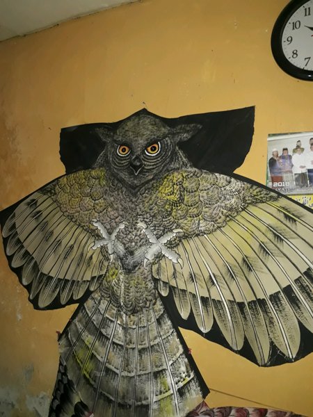 Detail Gambar Layangan Burung Hantu Nomer 28