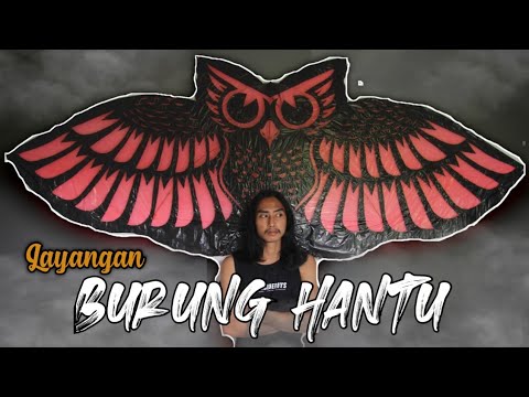 Detail Gambar Layangan Burung Hantu Nomer 36