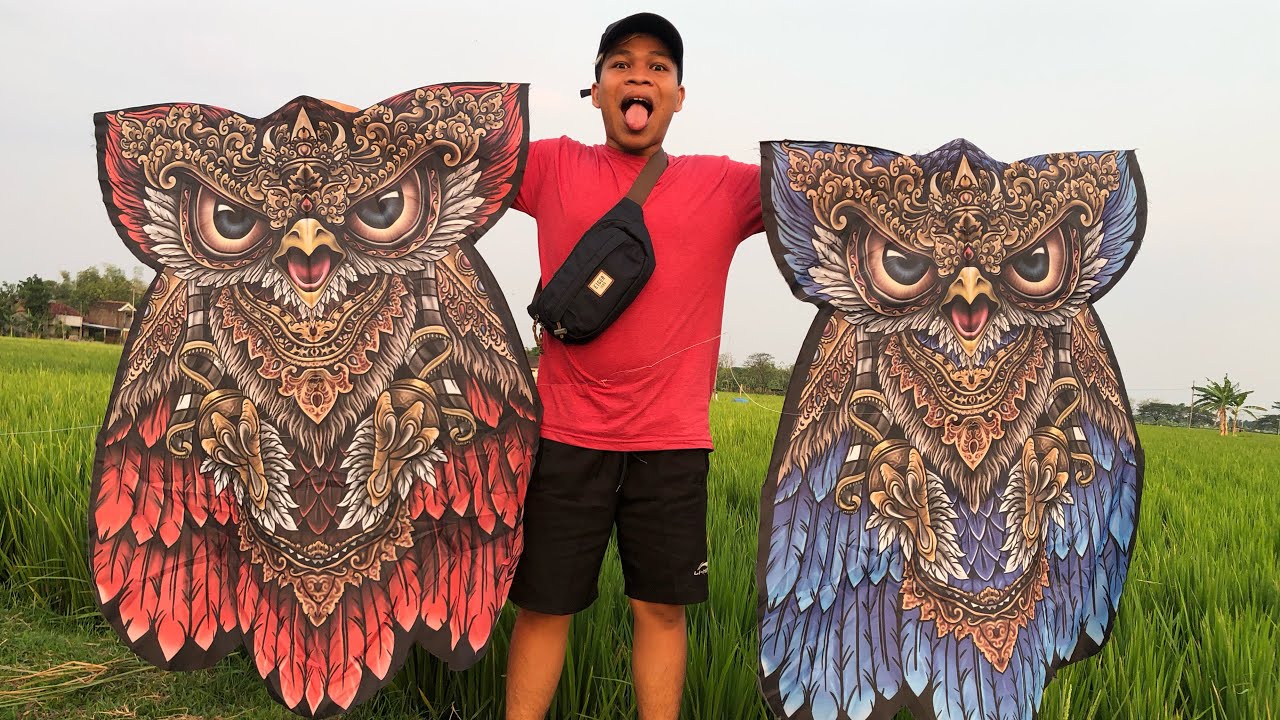 Detail Gambar Layangan Burung Hantu Nomer 38