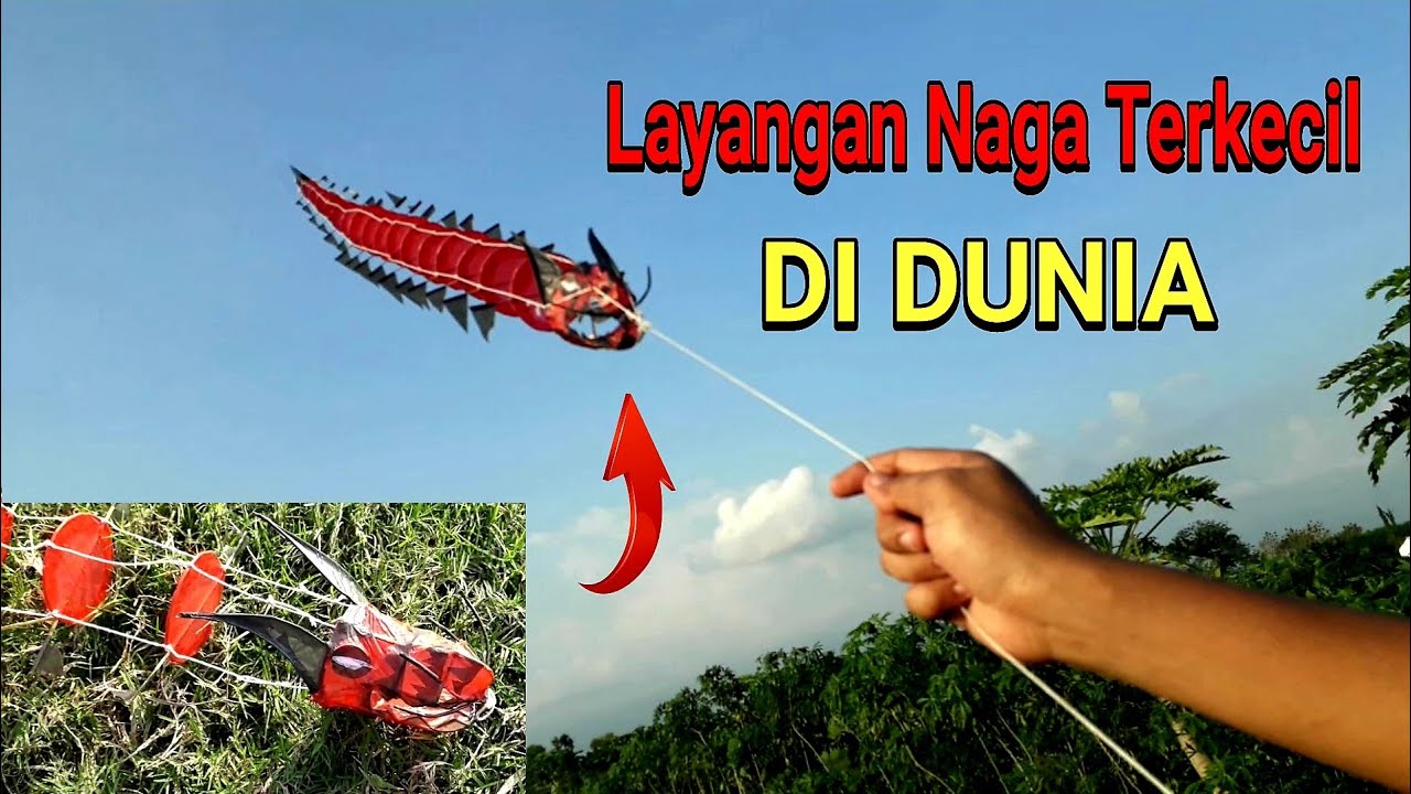 Detail Gambar Layangan Naga Nomer 43