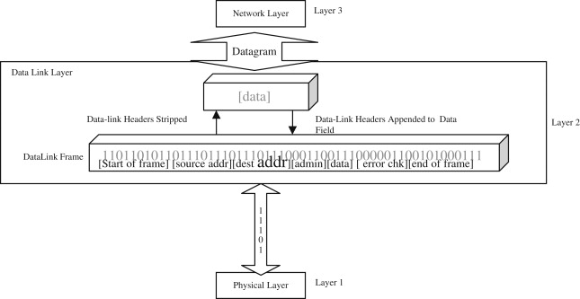 Detail Gambar Layer Data Link Nomer 5