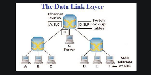 Detail Gambar Layer Data Link Nomer 39