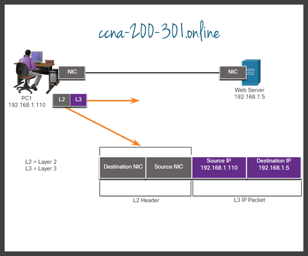 Detail Gambar Layer Data Link Nomer 40