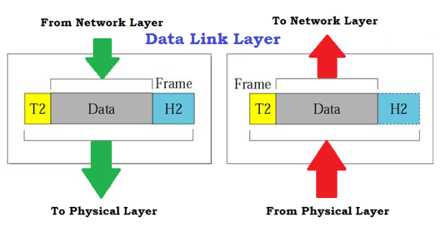 Detail Gambar Layer Data Link Nomer 48