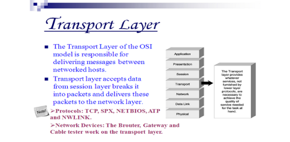 Detail Gambar Layer Transport Nomer 20