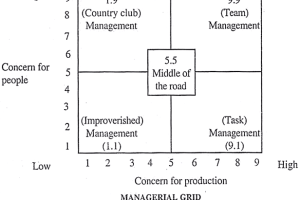 Detail Gambar Leadership Grid Nomer 22