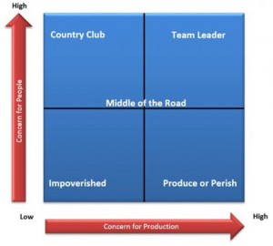 Detail Gambar Leadership Grid Nomer 29