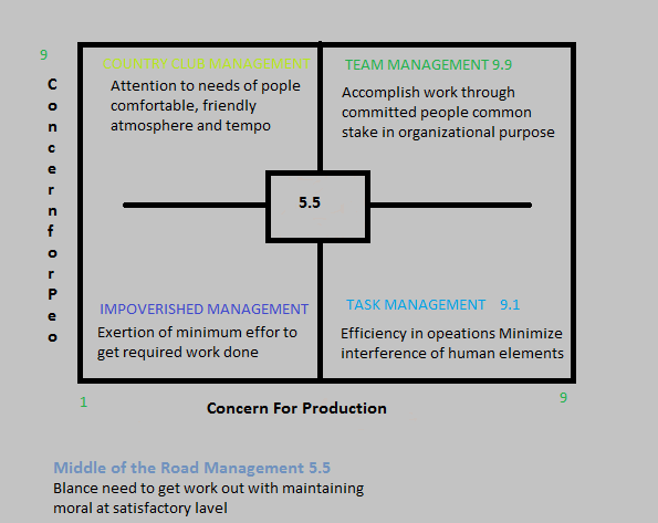 Detail Gambar Leadership Grid Nomer 51