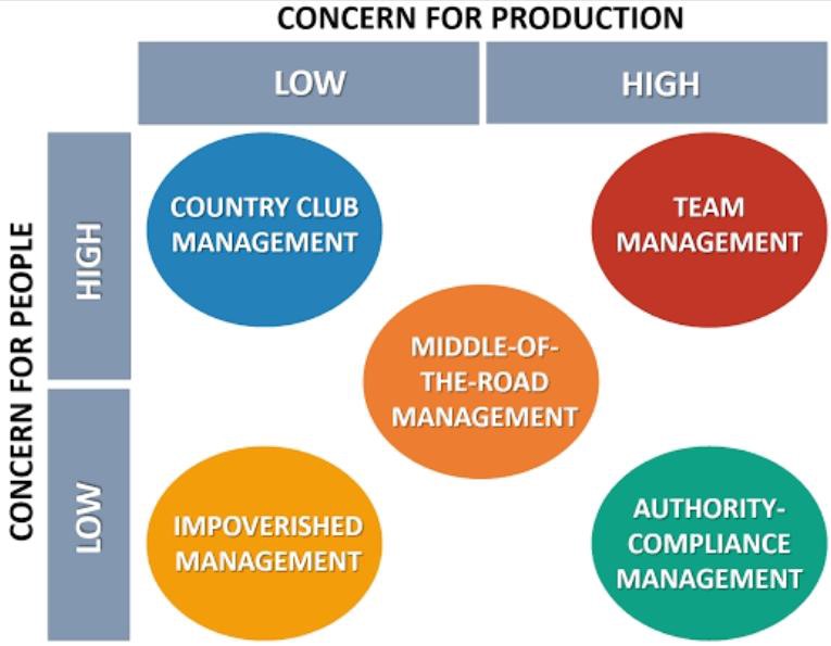 Detail Gambar Leadership Grid Nomer 7