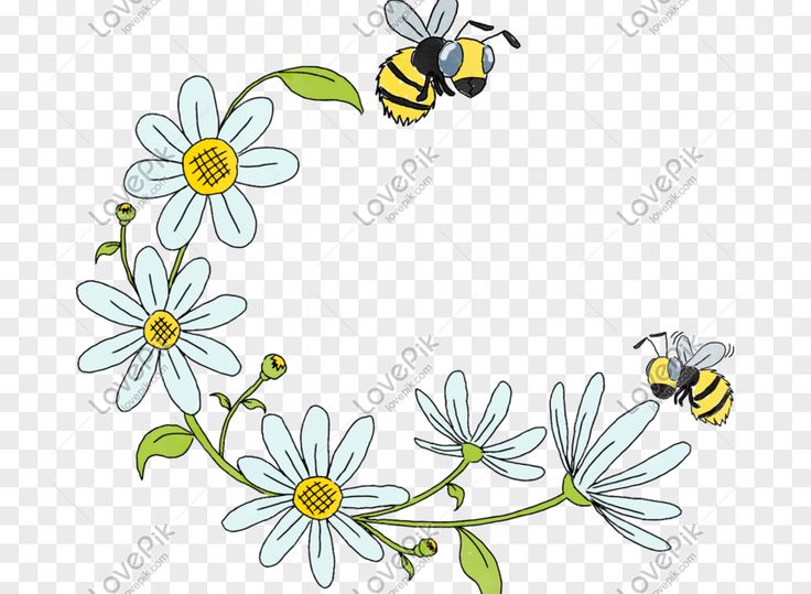 Detail Gambar Lebah Dan Bunga Hitam Putih Nomer 15