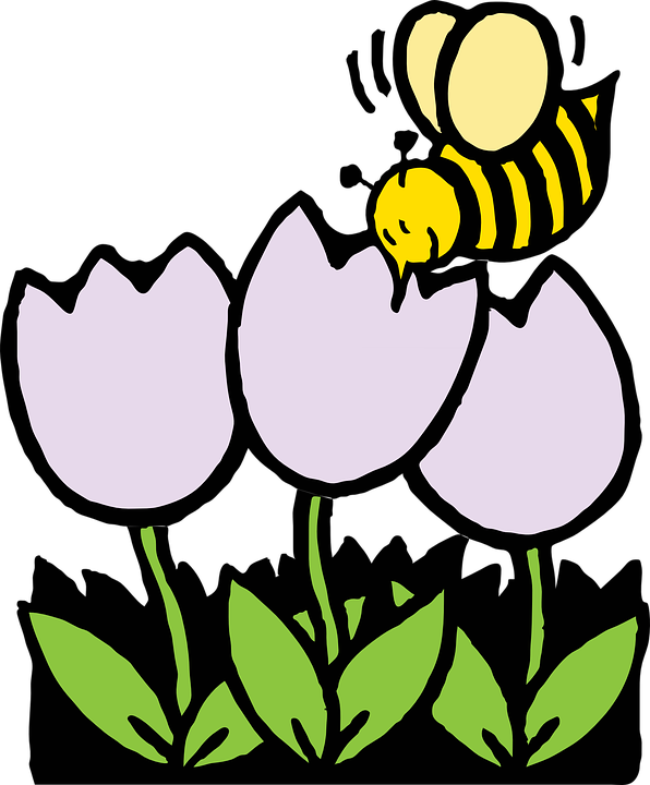 Detail Gambar Lebah Dan Bunga Hitam Putih Nomer 18