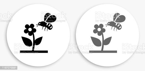 Detail Gambar Lebah Dan Bunga Hitam Putih Nomer 4