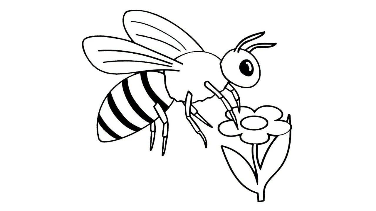 Detail Gambar Lebah Hitam Putih Nomer 28