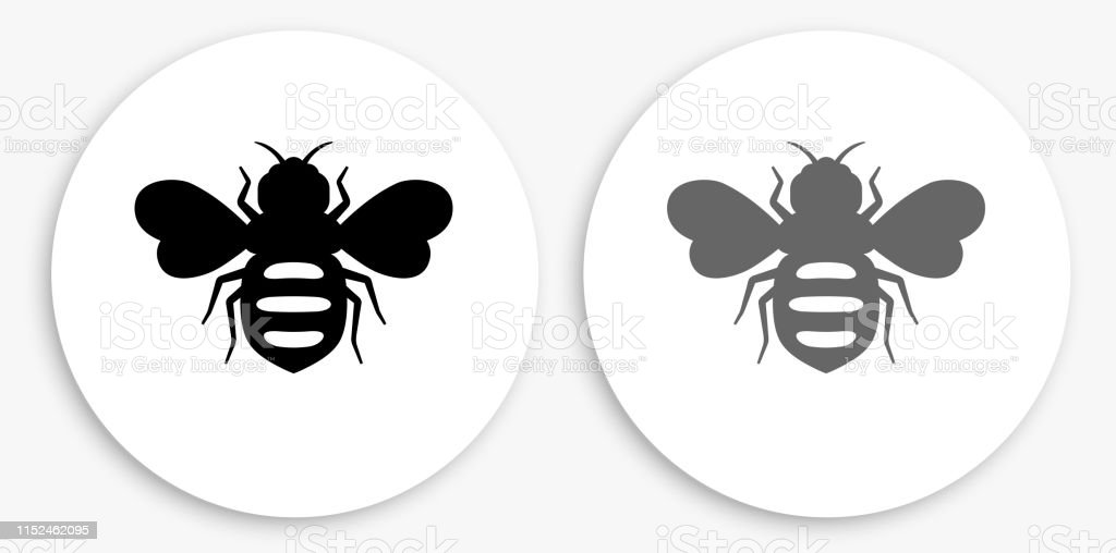 Detail Gambar Lebah Hitam Putih Nomer 30