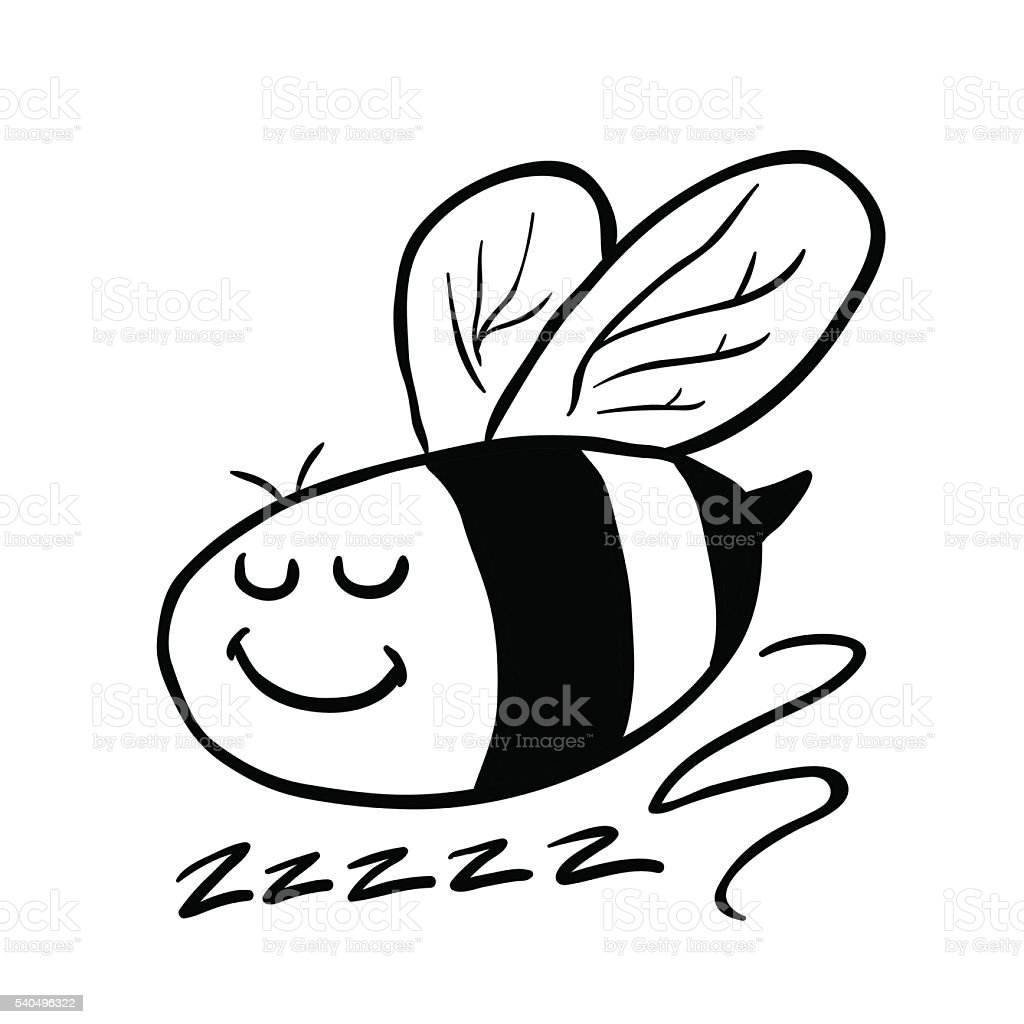 Detail Gambar Lebah Hitam Putih Nomer 54