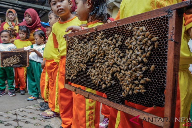 Detail Gambar Lebah Untuk Anak Tk Nomer 21