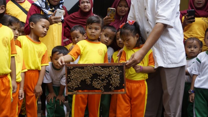 Detail Gambar Lebah Untuk Anak Tk Nomer 51