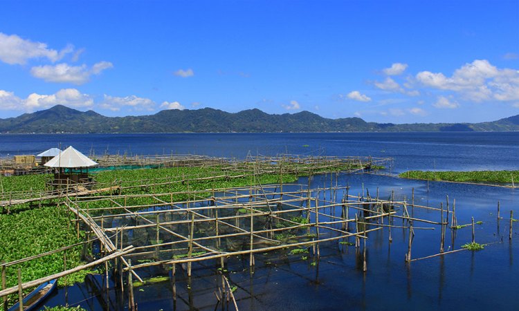 Detail Gambar Legenda Danau Tondano Nomer 5