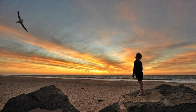 Detail Gambar Lelaki Sedang Mengejar Cinta Dipantai Nomer 25