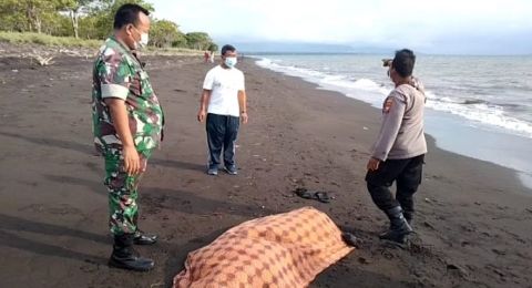 Detail Gambar Lelaki Sedang Mengejar Cinta Dipantai Nomer 32