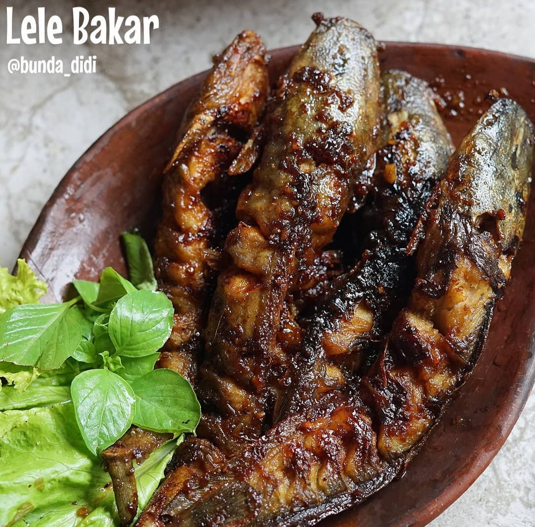 Detail Gambar Lele Bakar Nomer 24