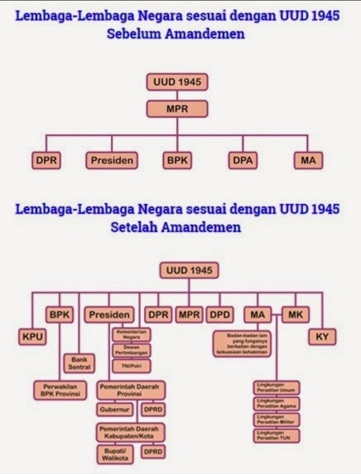 Detail Gambar Lembaga Negara Nomer 40