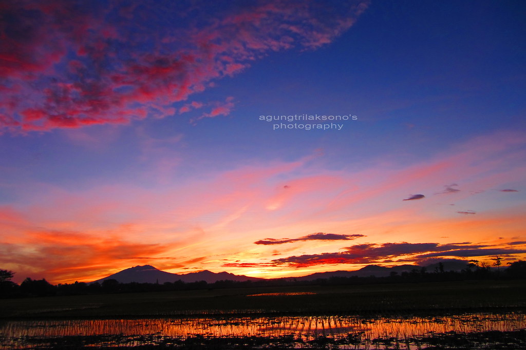 Detail Gambar Lembayung Senja Nomer 31