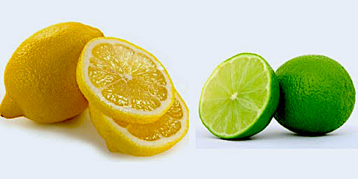Detail Gambar Lemon Dan Jeruk Nipis Nomer 14
