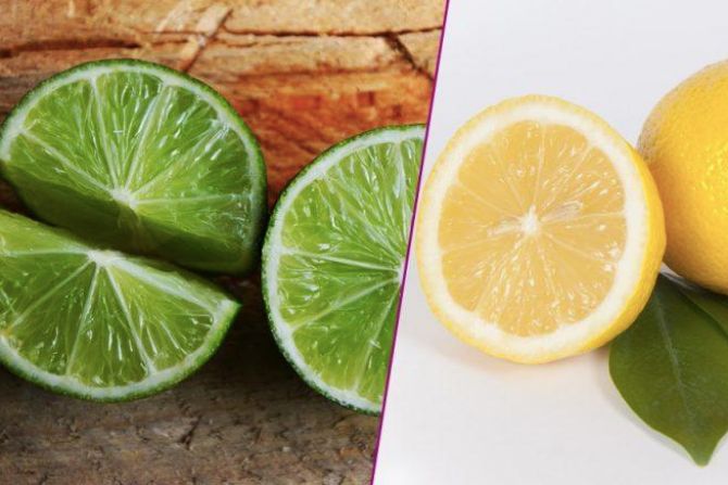 Detail Gambar Lemon Dan Jeruk Nipis Nomer 15