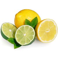 Detail Gambar Lemon Dan Jeruk Nipis Nomer 24