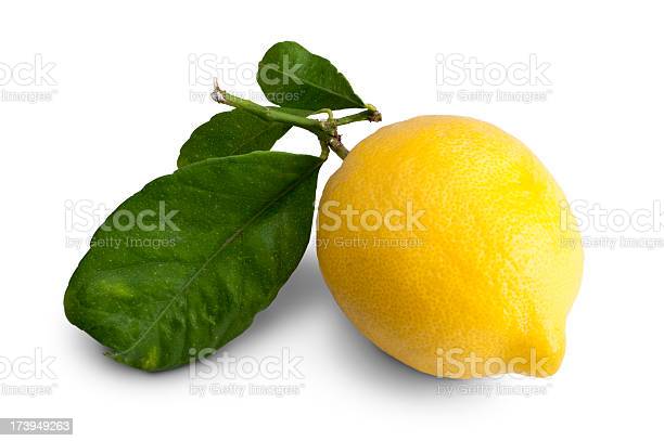 Detail Gambar Lemon Dan Jeruk Nipis Nomer 30