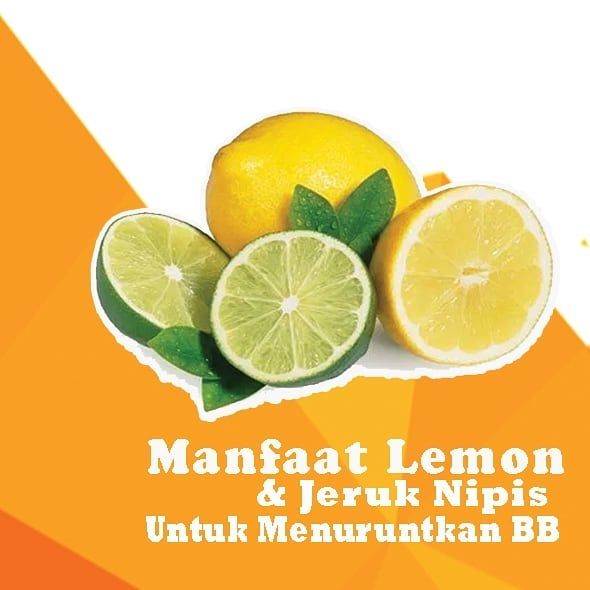 Detail Gambar Lemon Dan Jeruk Nipis Nomer 49