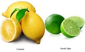 Detail Gambar Lemon Dan Jeruk Nipis Nomer 53