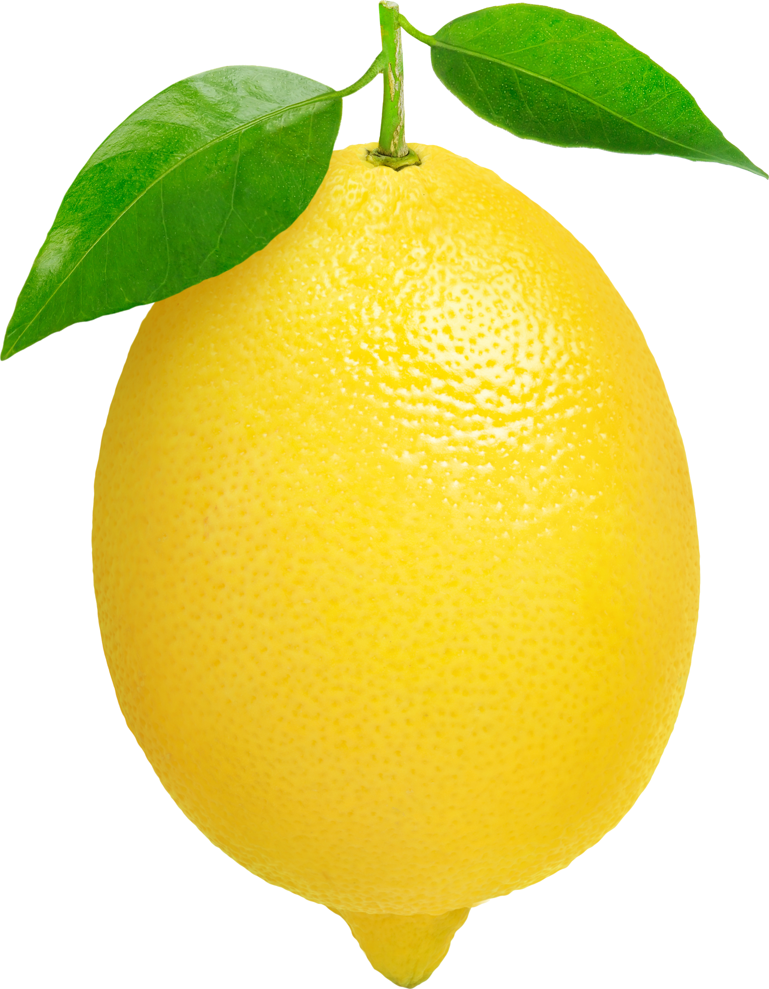 Detail Gambar Lemon Png Nomer 22