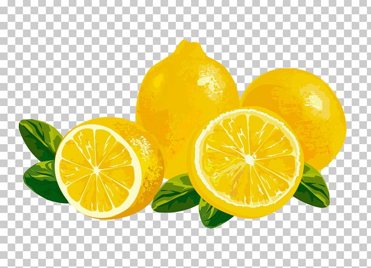 Detail Gambar Lemon Png Nomer 35