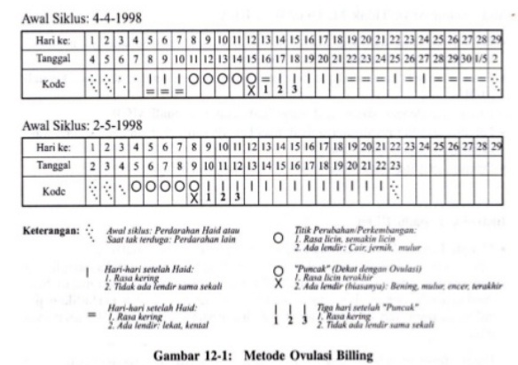 Detail Gambar Lendir Saat Ovulasi Nomer 28