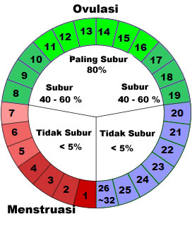 Detail Gambar Lendir Saat Ovulasi Nomer 46