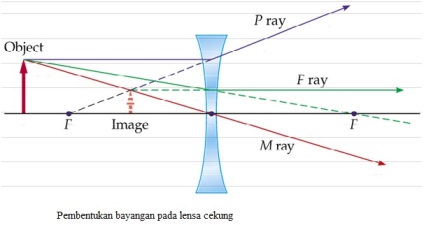 Detail Gambar Lensa Cekung Nomer 22