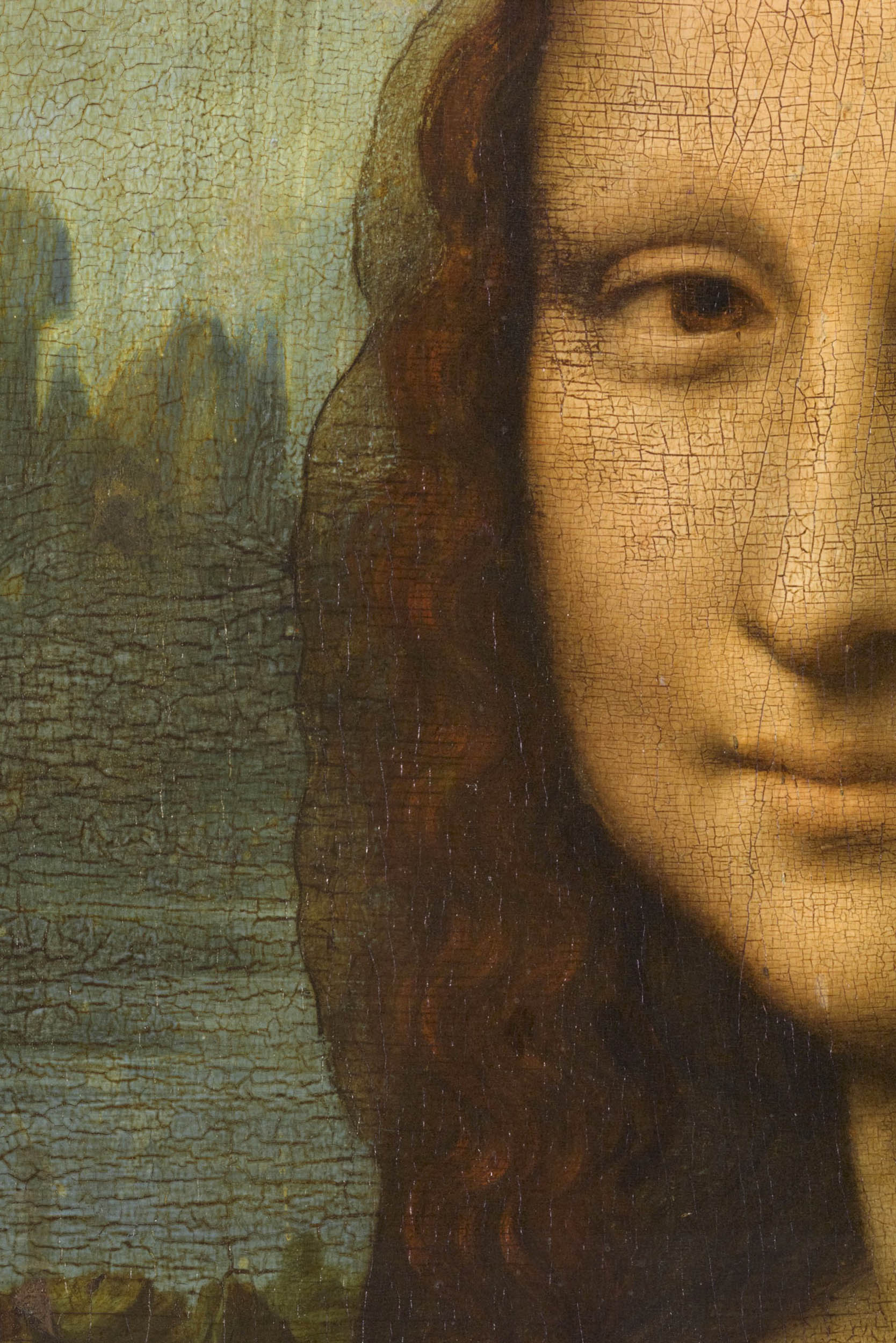 Detail Gambar Leonardo Da Vinci Nomer 44