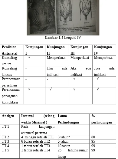 Detail Gambar Leopold 1 Nomer 18